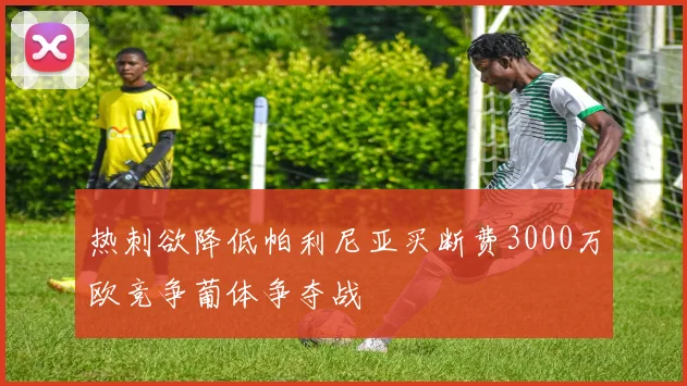 热刺欲降低帕利尼亚买断费3000万欧竞争葡体争夺战